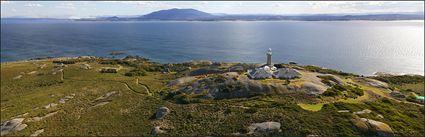 Montague Island - NSW (PBH4 00 9641)